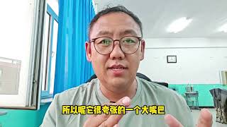 大众凌渡L，搭配无框车门，五门掀背尾门，适合什么样的消费者？