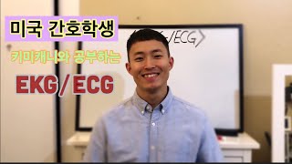 기본만 알고가는 ECG (심전도) !!