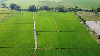 Droneando por Rioja, San Martin