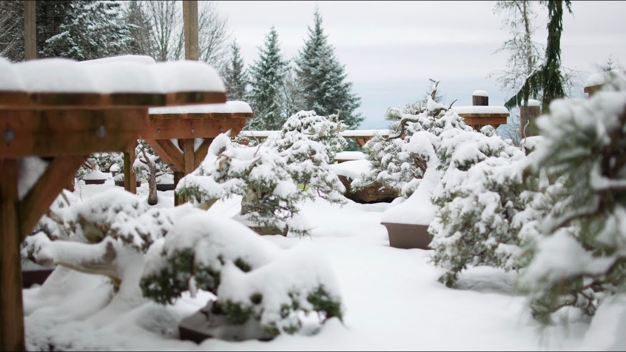 Winter Preparation Youtube