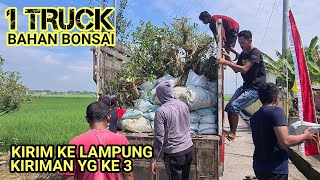 Kirim bahan bonsai ke Lampung yg ke.3