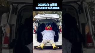 つば九郎🐧🌺私たちに見せてくれた最後の姿...ありがとう。2025/02/02