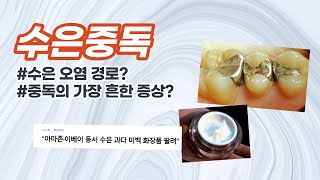 오염된 우리나라의  심각한 수은중독 원인, 증상, 현황