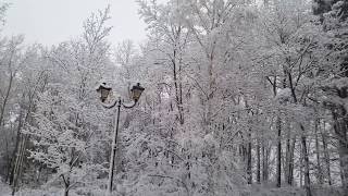 Śnieg jest już jest z nami na dobre