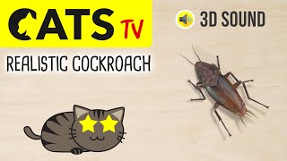 CATS TV - Realistic Cockroach 🪳 (Best Game for cats)