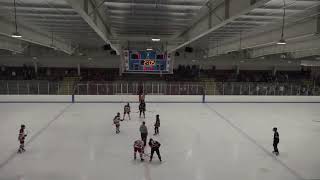 Wellesley Raiders High School vs Pope Francis Cardinals | Varsity Hockey- Round of 32