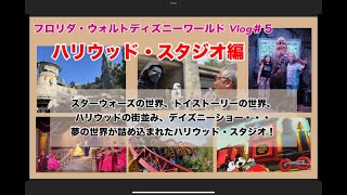 【フロリダ ディズニーVlog # 5 】ハリウッドスタジオ人気ライド、ショーを　詳しく紹介します