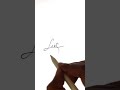 How to SIGN your name. Lakshman Signature Style. Letter L Cursive Autograph in iPad. #shorts #design