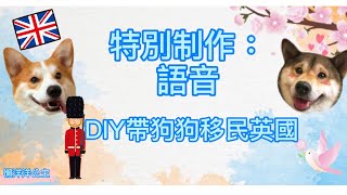 #寵物移民 #移民英國 #寵物跟身飛英國 #愛爾蘭路線 特制語音： DIY帶寵物移民英國 ｜ 懶洋洋公主 Lazy Princess 友·分享 ˘ᴗ ˘)