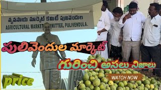 పులివెందుల చీని కాయల మార్కెట్ || గురించి నా చిన్న ప్రయత్నం