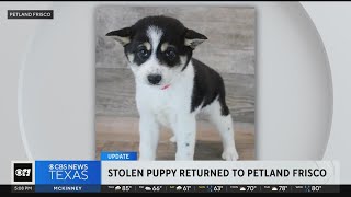 Stolen puppy returned to Frisco pet store by disguised man