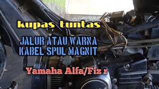 Jalur kabel spul magnit Yamaha Alfa/FizR