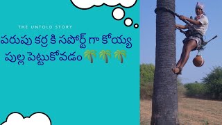 పరుపు తాడు కర్ర కి సపోర్ట్ గా కొయ్య పుల్ల ని పెట్టుకోవడం#  suvarshith taddy tapper