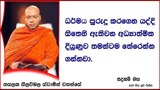 සිතෙහි ඇතිවන අධ්‍යාත්මික දියුණුව තමන්ටම තේරෙන්න ගන්නවා.Ven Hasalaka Seelawimala Thero