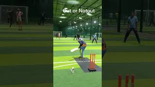 Soft Ball Indoor Cricket #youthful #like #subscribe