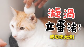 【黃阿瑪的後宮生活】漩渦立蛋法！成功率大增！