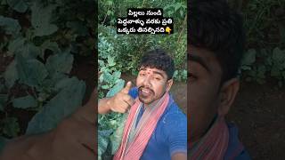 అస్సలు miss అవ్వకండి   మీ కోసమే👆👆#healthyfood #shorts #viralvideo #@lokeshfarmer