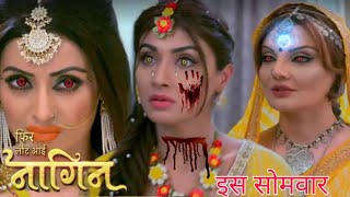 Phir Laut Aayi Naagin | 4 January 2020