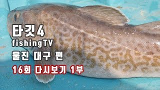 왕돌초 외곽 미터급 대구를 잡아라! [타깃4 16회 다시보기 1부]