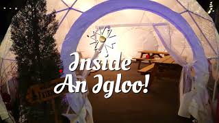 Your Office Holiday Party in An Igloo!