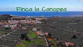 Reverdir un désert en Permaculture - Finca la Canopea - Tenerife, Spain - Ant's Capsules Reports