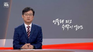 위클리 키워드 '민들레 피고 수박이 열려도' | 대구MBC뉴스