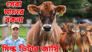 বাঘাবাড়ি মিল্কভিটার পিওর ১০০%জার্সি বকনা বাচ্চা সংগ্রহ করুন। পাবনা ইমন ডেইরি ফার্ম থেকে