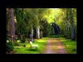 Calm Music - background music for focus, study, meditation, relax, sleep