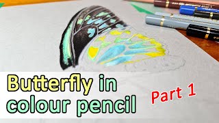 DRAWING A BUTTERFLY - Colour pencil drawing of a butterfly on Canson Mi-teintes - Part 1.