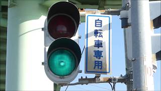 青・赤（自転車横断帯の「自転車専用」） （宮崎県延岡市）