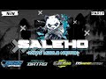 DJ SALEHO X SPECTRE VIRAL TIKTOK - STYLE PARTY MIDDLE NULUP | TEAM BATAS & LJF PRO AUDIO