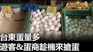 台東蛋量多 遊客\u0026蛋商趁機來搶蛋 |【民生八方事】| 2023040402 @gtvnews27