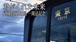 【鉄道PV】武蔵野線205系 一周忌