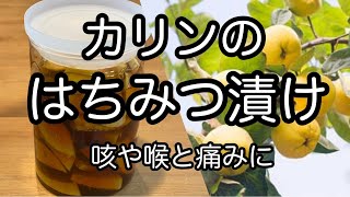 【かりんの蜂蜜漬けの作り方】咳や喉の痛みに　保存食　発酵食品　How to make honey pickled Quince