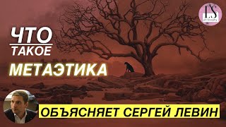 Что такое метаэтика. Моральные факты | Сергей Левин на LSPhilosophy