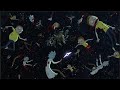 Rick and Morty Season 6 Episode 1 Full Intro