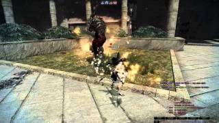 vindictus - Ingkells Staff Solo [Pre Draciel]