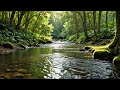 Soothing Water Stream for Sleep, Study, Meditation |  2HRs No Ads