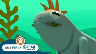 바다 탐험대 옥토넛 - 바다 이구아나 & 길 잃은 레몬상어 - 모음집