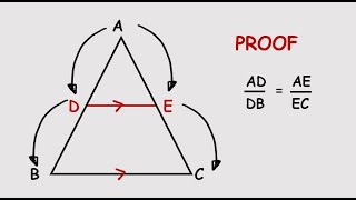 Proof of Proportionality Theorem| Thales' Theorem