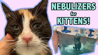 Nebulizer Treatment for a Sneezy Kitten