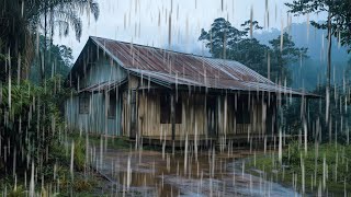 Find Peace with the Sound of Rain, Thunder, and Swaying Trees