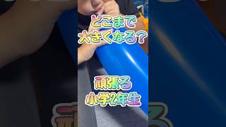 【わんぱく小学生シリーズ】がんばれ息子よ#shorts #不動産屋店長 #子ども #成長 #チャレンジ