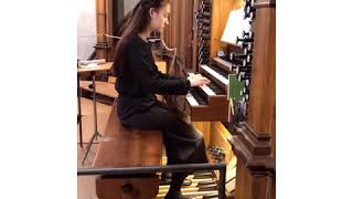 Ilan Bui // J.S.Bach Fantasie und Fuge c-moll BWV537