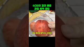 40년이 걸려 배운 과일 세척 꿀팁