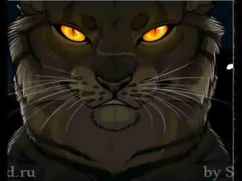 Tigerclaw S Fury Speedpaint Youtube