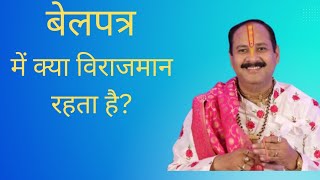 एक बेलपत्र में क्या विराजमान रहता है।। Pandit Pradeep Ji Mishra