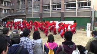 第六回京都さくらよさこい(2010/4/4)「京都チーム「櫻嵐洛」」