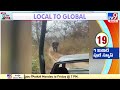 elephant attacks vehicle tamil nadu tv9