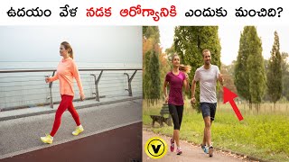 ఉదయం వేళ నడక ఆరోగ్యానికి ఎందుకు మంచిది? | Why is morning walking good for health? | Vishayam